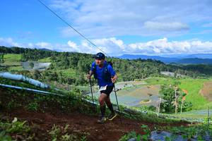 BIB: 
                            <button type="button" onclick="openModal(13382760)" class="btn btn-primary btn-sm float-right btn-popup" data-toggle="modal" data-target=".modal-high-quality">
                        <i class="fas fa-shopping-cart"></i> Add to Cart
                    </button>
                                            <button type="button" onclick="isThisMe(13382760, true)" class="btn btn-success btn-sm float-right btn-popup btn-isme hidden" data-toggle="tooltip" data-placement="bottom" title="นี่คือรูปของคุณใช่ไหม คลิกที่นี่เพื่อเอาเข้าอัลบั้ม">
                        <i class="fas fa-plus"></i> Add to album
                    </button>
                    <button type="button" onclick="isThisMe(13382760, false)" class="btn btn-warning btn-sm float-right btn-popup btn-isnotme hidden">
                        <i class="fas fa-ban"></i> Remove from album
                    </button>